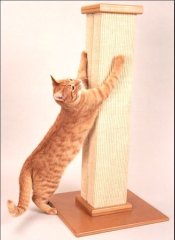 tall cat scratching post