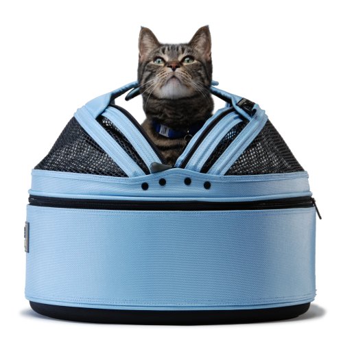 Why top opening cat carriers are the better choice for your cat.